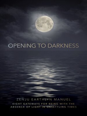 cover image of Opening to Darkness